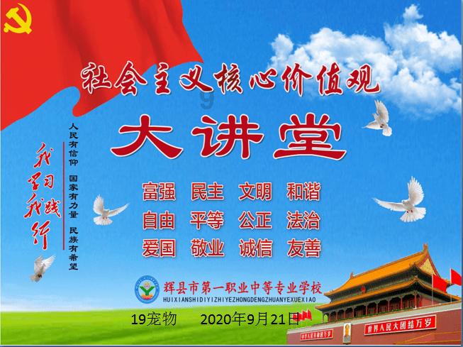 春雨直播app